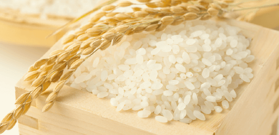 Rice